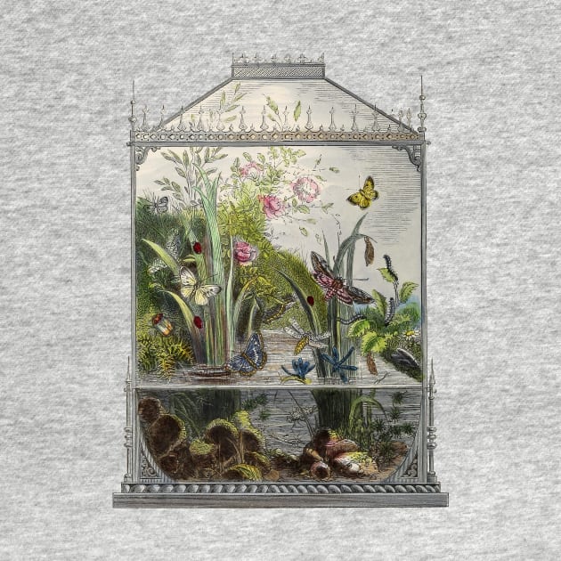 Beautiful Retro Butterfly Terrarium by RedThorThreads